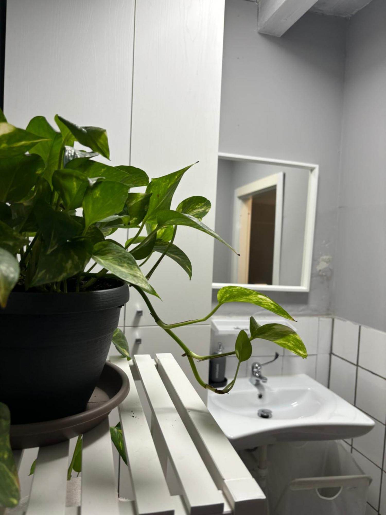 Bed and Breakfast Capitolium Ad Brescia Esterno foto